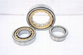 Long life single row cylindrical roller bearing 1