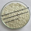 Offwhite powder Paraquat