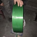 Green Embossed Polyester PET Plastic Strips for Packaging