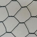 Hexagonal Wire Netting