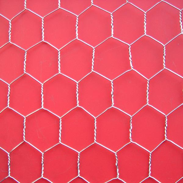 Hexagonal Wire Netting 3