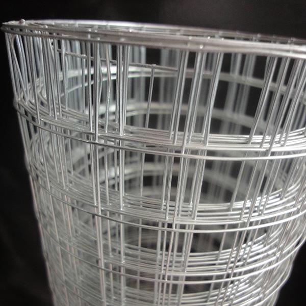 Galvanized Welded Wire Mesh 3