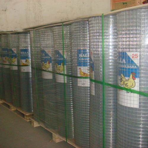 Galvanized Welded Wire Mesh 4