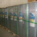 Galvanized Welded Wire Mesh