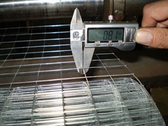 Stainless Steel Welded Wire Mesh