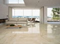 Egyptian Marble Granite |marble floor