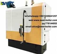 Mini industrial biomass steam boiler