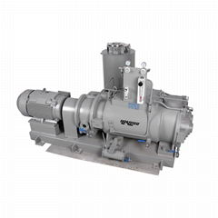 Variable Pitch Screw Vacuum Pump