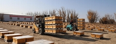 Shandong Miyuan Co.,Ltd Shandong Miyuan Co.,Ltd