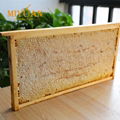 China raw Comb honey with beehive frame honeycomb sale 4