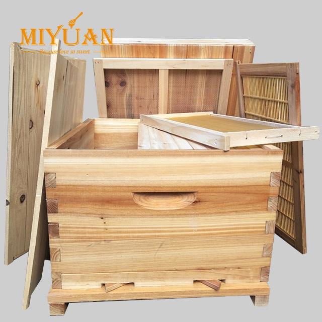 China Beehive wooden framed for beekeeping 2