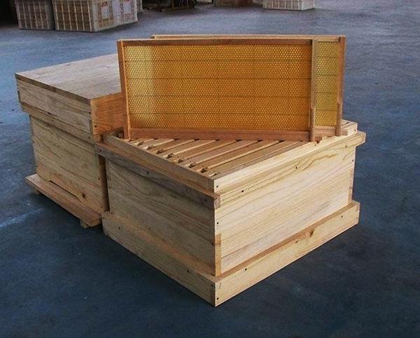 China Beehive wooden framed for beekeeping 3