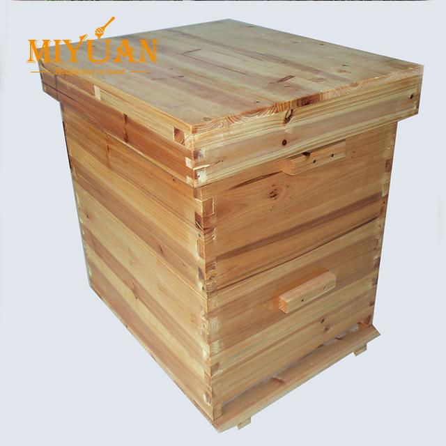 China Beehive wooden framed for beekeeping 4