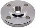 Threaded Flange 1