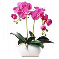 High Quality Real Touch Flower Arrangement Orchid Plants Bonsai Pot 1