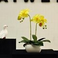 High Quality Real Touch Flower Arrangement Orchid Plants Bonsai Pot 4