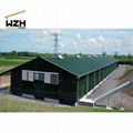 Steel Structure Broiler Chicken Poultry Farm Shed 1