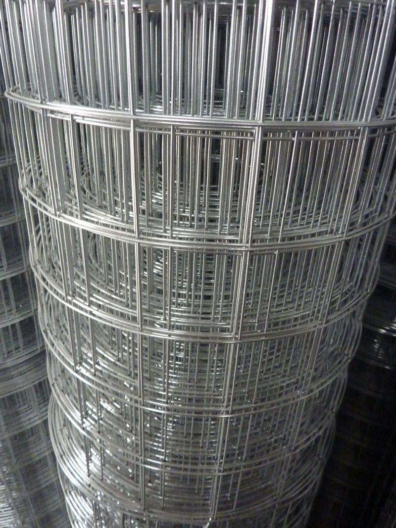 Stainless Steel Welded Wire Mesh 2