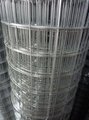 Stainless Steel Welded Wire Mesh 2