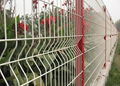 3D Wire Mesh Fence 2