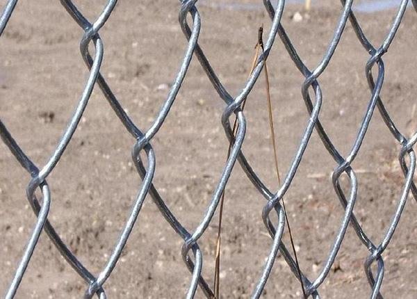 Galvanized or PVC Coated Chain Link Fence 2