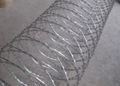 Galvanized or PVC Coated Chain Link Fence 5