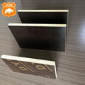 Black/Brown Film Faced Plywood Construction Formwork Shuttering Plywood with Pop 1