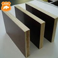 Black/Brown Film Faced Plywood Construction Formwork Shuttering Plywood with Pop 3