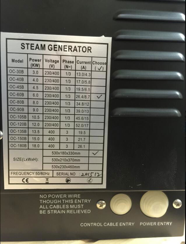 CE confirmed high quality hot sale control panel steam generator 9KW 4