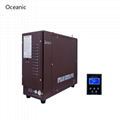 Oceanic  incoloy800 heat element 2 YEAR  warranty steam generator 3KW for sale 1