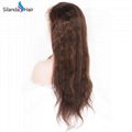 Straight #4 Silk Base Full Lace Wigs Brazilian Human Hair 1