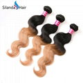 #1B-27 Ombre Body Wave Brazilian Human