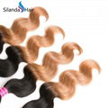 #1B-27 Ombre Body Wave Brazilian Human Hair Weaves Hair Weft 4