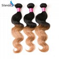 #1B-27 Ombre Body Wave Brazilian Human Hair Weaves Hair Weft 5