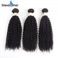 Kinky Curly #1B Brazilian Human Hair Weave Bundles Curly Wave 1