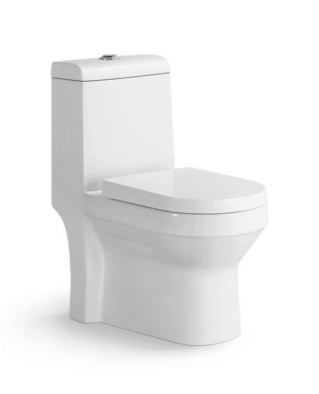 Hot sale s-trap 300mm sanitary ware water closet toilet price 2