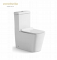 Bathroom siphonic/washdown one piece