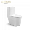 CUPC Certificate sanitary ware bathroom wc one piece toilet for family 1