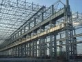 Large Steel Structure Building  2