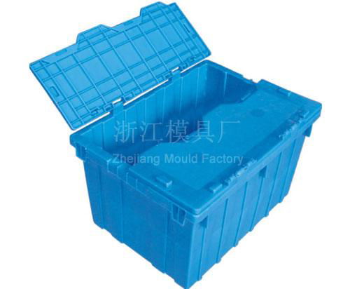 Profossional plastic turnover box mould 4