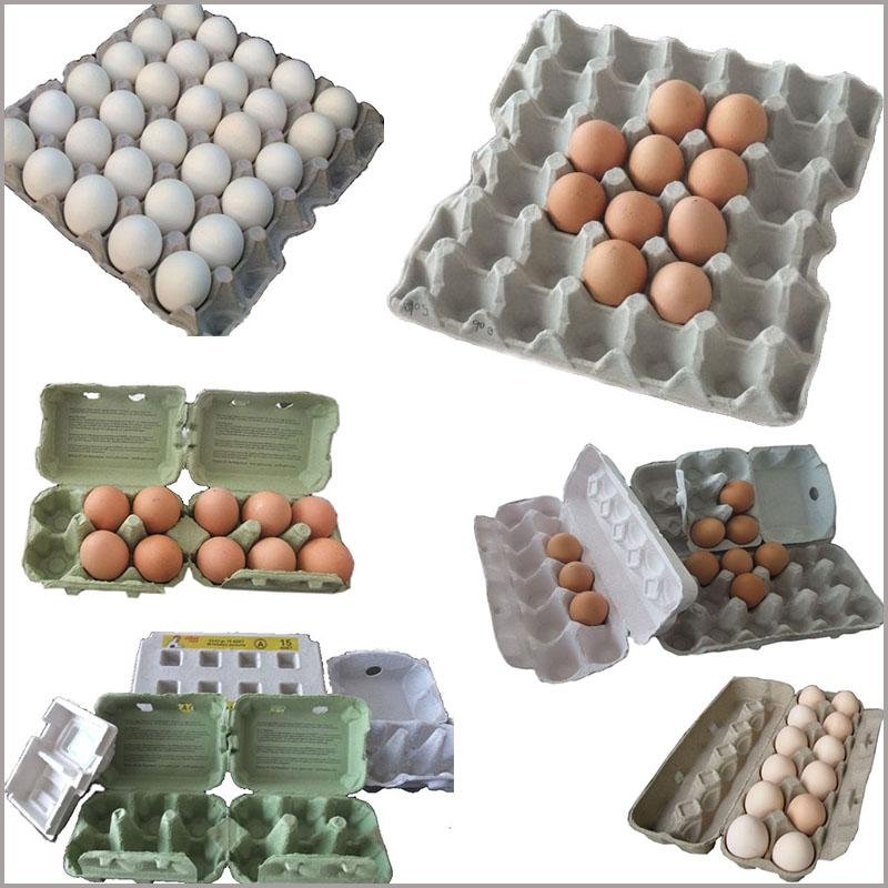 Full Automatic Recycled Paper Popular Egg Carton Making Machine 6000pcs/h 5