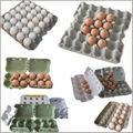 Roller Egg Tray Processing Vacuum Forming Making Machine 5