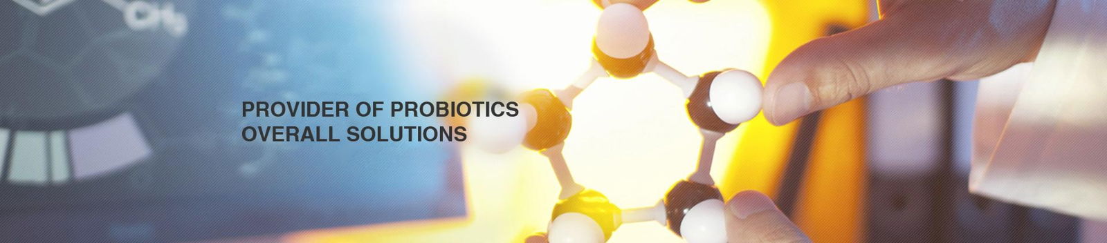 JindongBio Probiotics