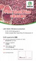 red yeast rice extract powder 0.2%