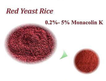  red yeast rice extract powder 0.2% Monacoln K  2