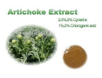 Artichoke Extract 5% cynarin 2