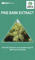 Pine Bark Extract 95% Proanthocyanidins