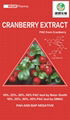 Cranberry Extract