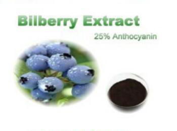 Bilberry Extract 25% anthocyanidins 2