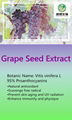 Grape Seed Extract 1